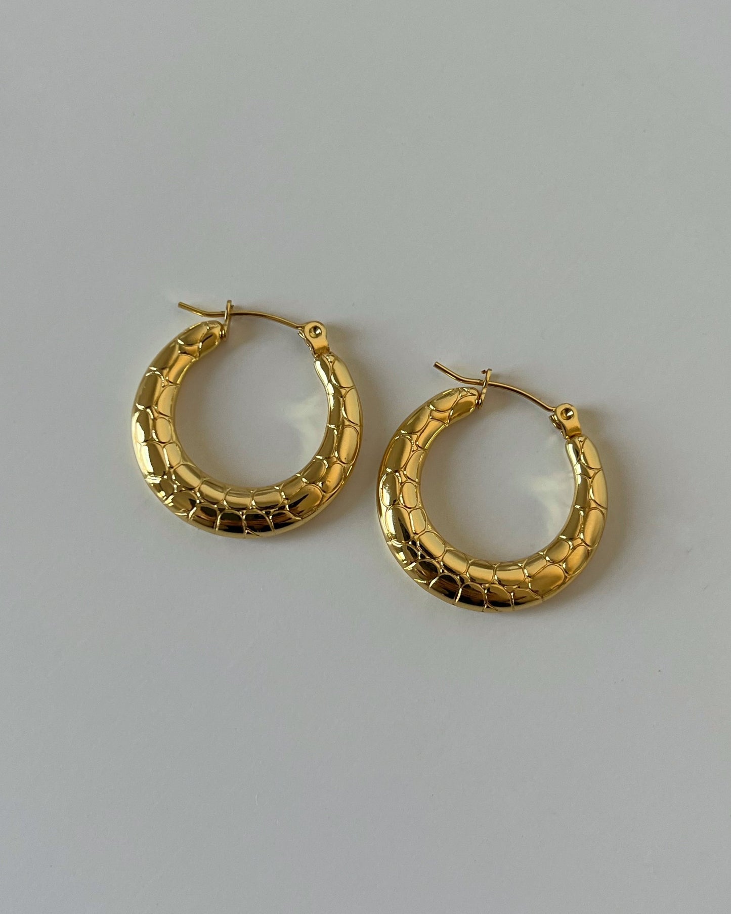 Scaly Earrings